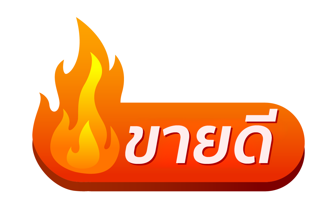 สินค้าขายดี