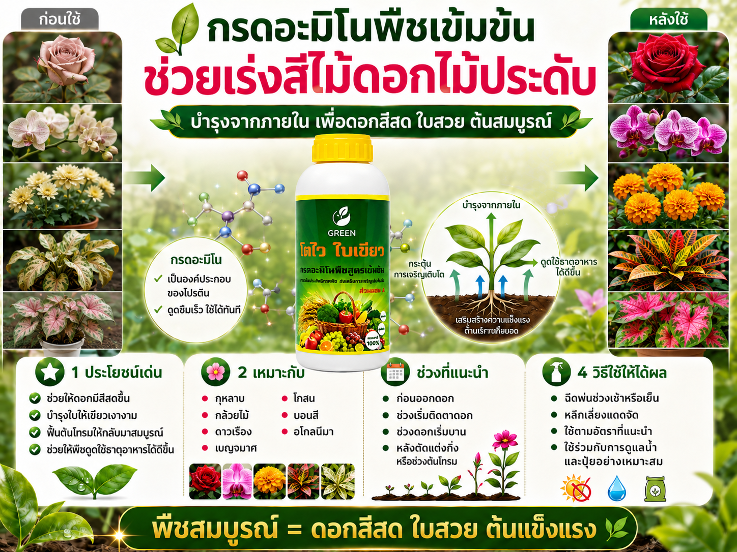 เร่งสีไม้ดอกไม้ประดับ ให้ดอกสด ใบสวย ด้วยกรดอะมิโนพืชเข้มข้น