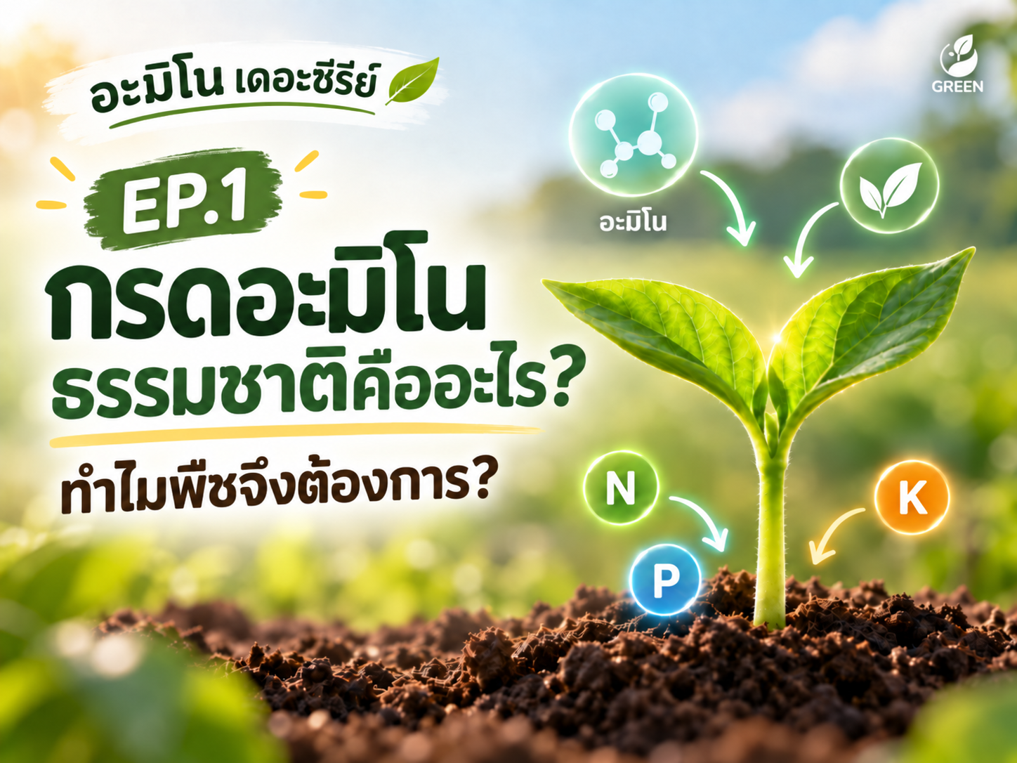 อะมิโนเดอะซีรีย์ : EP1 กรดอะมิโนธรรมชาติคืออะไร? ทำไมพืชจึงต้องการ?