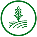 ผลิตภัณฑ์จากธรรมชาติสำหรับพืช