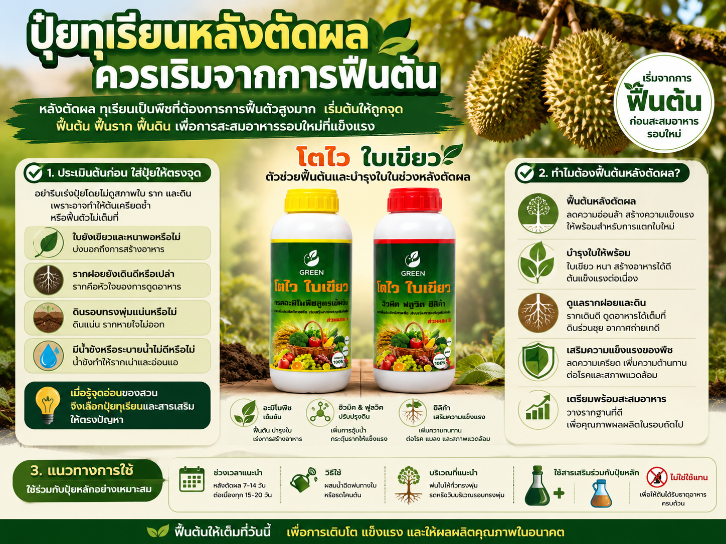 ปุ๋ยทุเรียนและสารเสริมฟื้นต้นทุเรียนหลังตัดผล