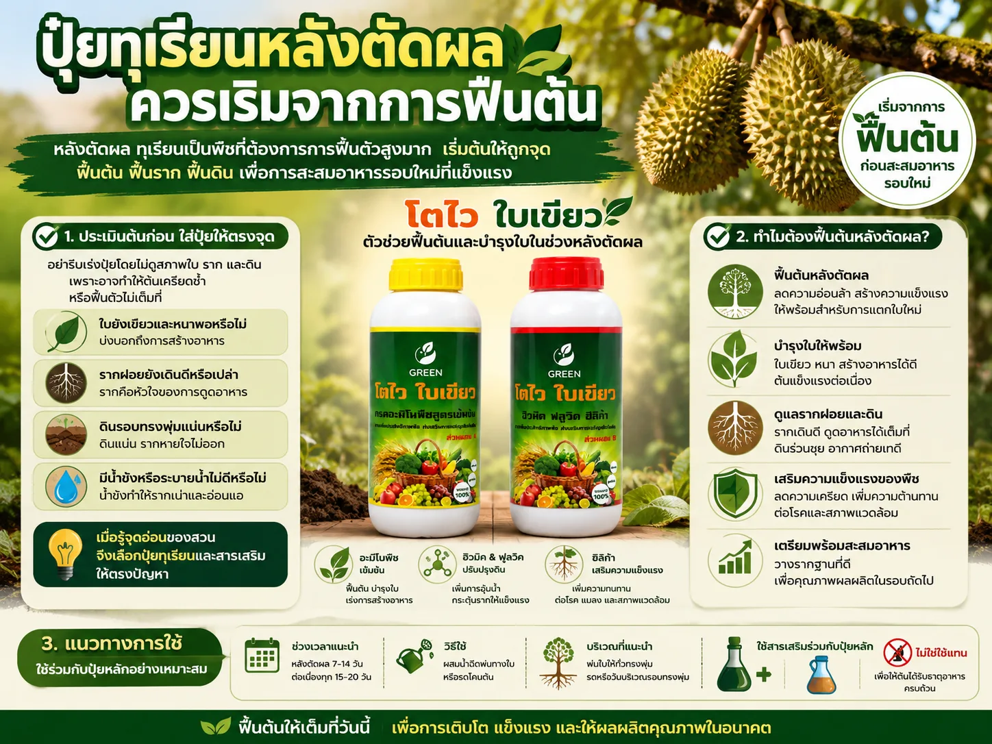ปุ๋ยทุเรียนและสารเสริมฟื้นต้นทุเรียนหลังตัดผล