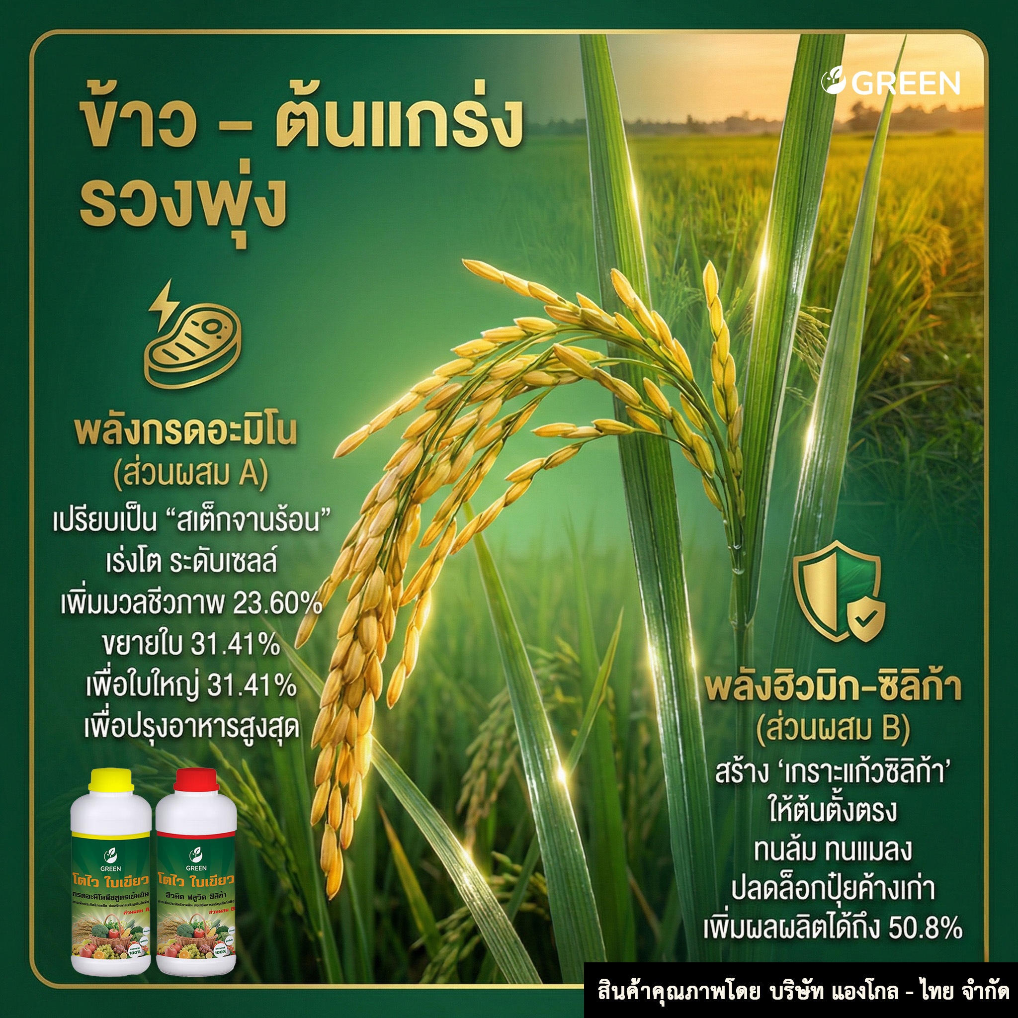 โตไว ใบเขียว ส่วนผสม A