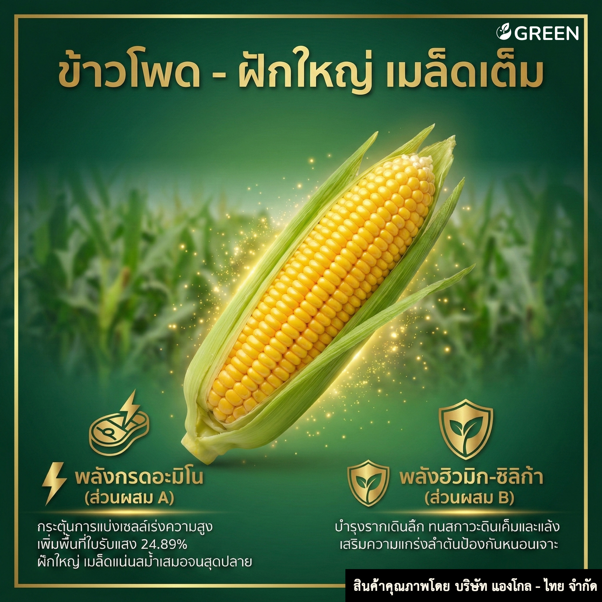 โตไว ใบเขียว ส่วนผสม A