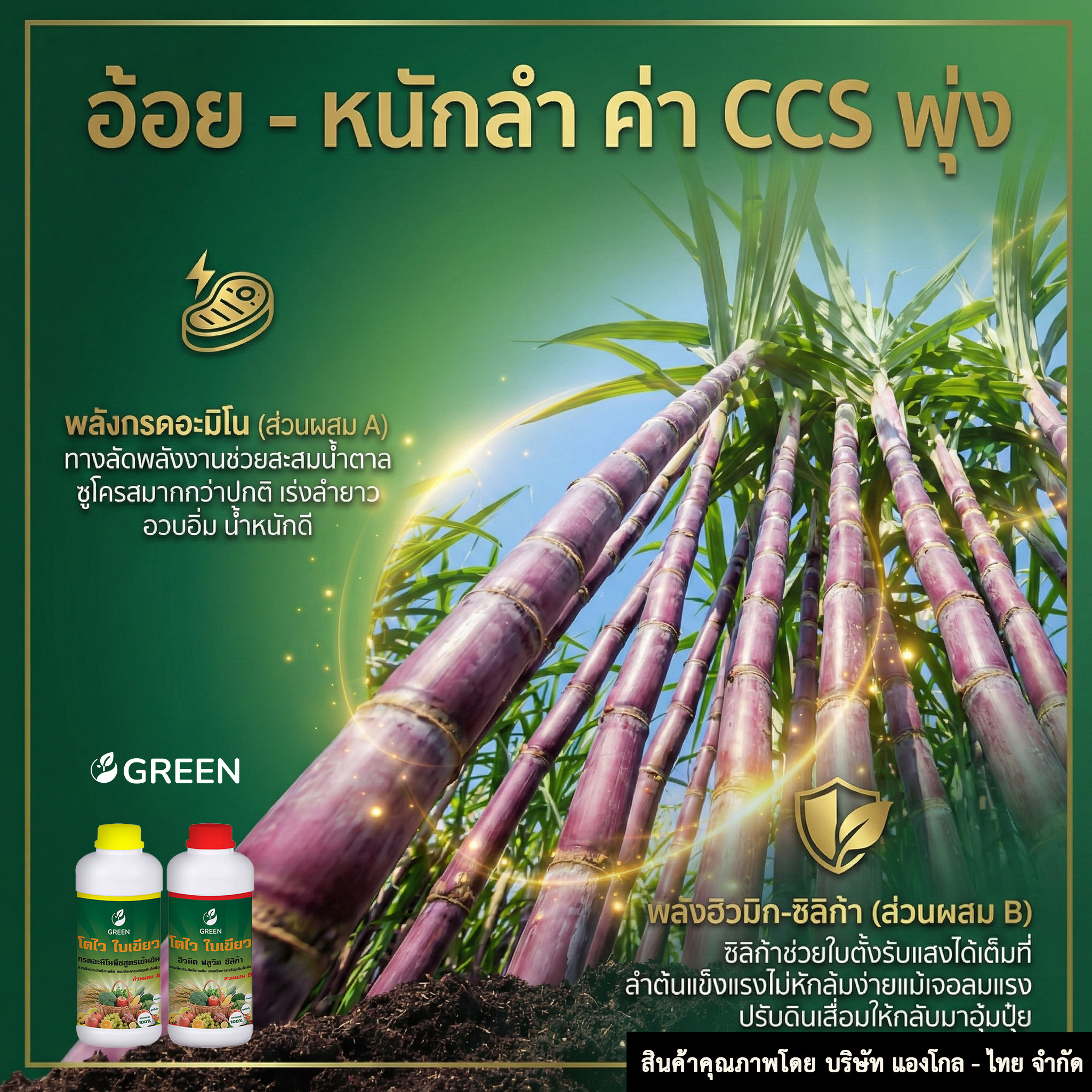 โตไว ใบเขียว 1ชุด ส่วนผสม A+B