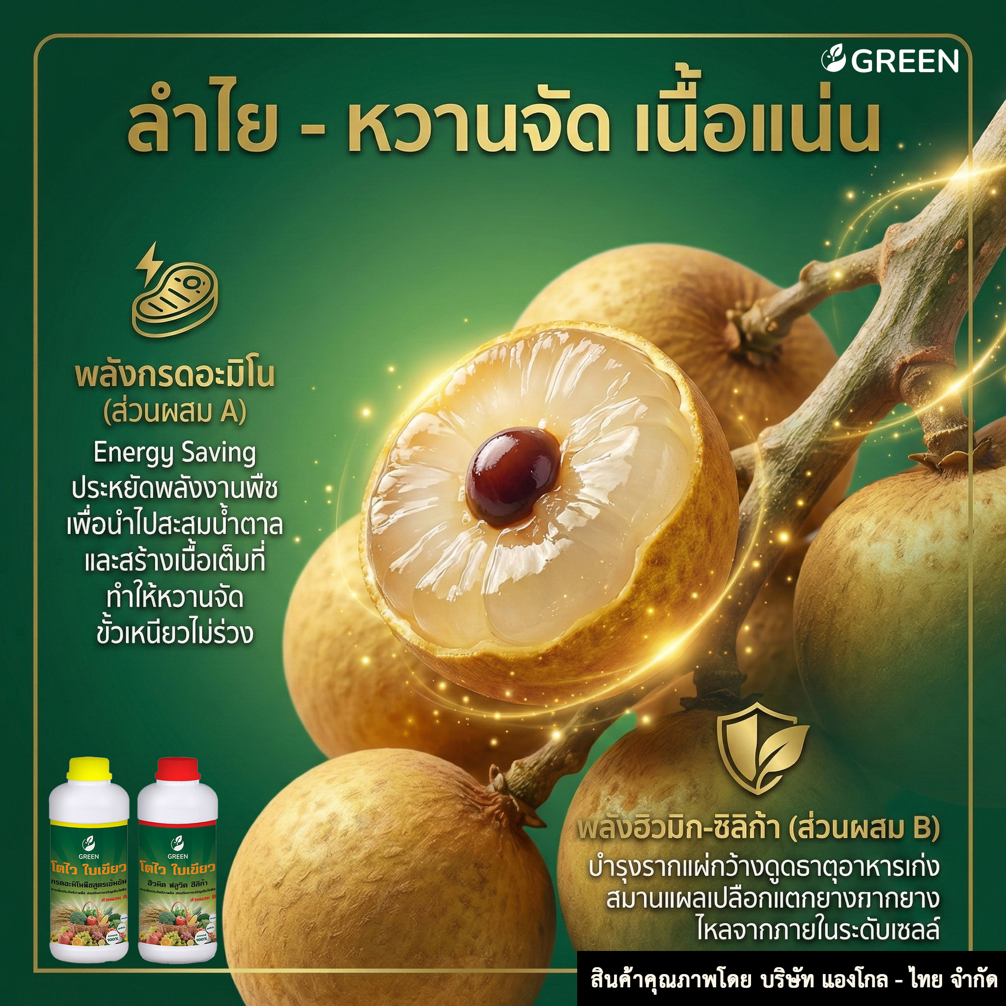 โตไว ใบเขียว 1ชุด ส่วนผสม A+B