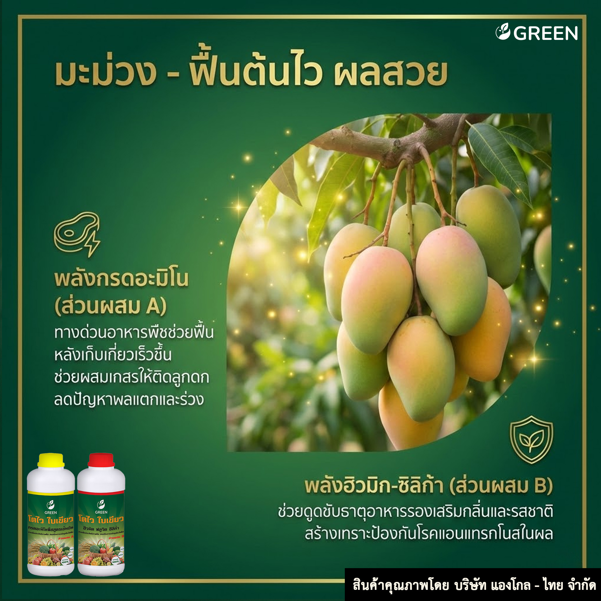 โตไว ใบเขียว ส่วนผสม B